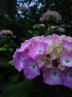 113_convert_20120615222017.jpg