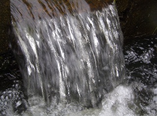 IMGP0961.JPG