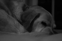 IMG_6620.JPG