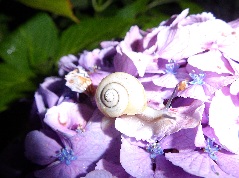 IMGP1318.JPG