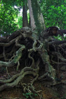 IMG_0657b.jpg