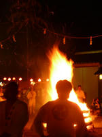a070002b.jpg