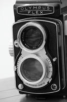 DSC07579.JPG