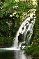 DSC08592.JPG