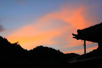 IMG_0256b.jpg