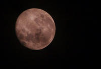 IMGP3939ewe3w.jpg