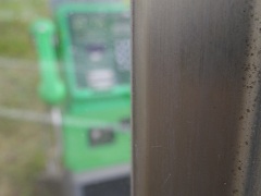 IMGP3145.JPG