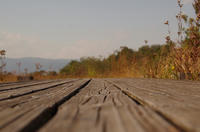 589f87a2.JPG