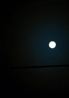 IMGP5397e3e.jpg