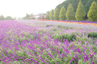 DSC00407.JPG