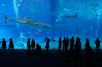 DSC00805.JPG