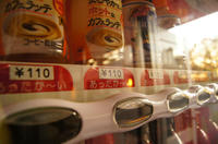 DSC01310.JPG