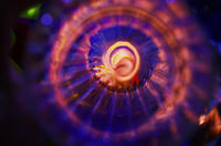 10435625806800052455_liq5j2jtla.jpg