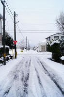 DSC01809.JPG