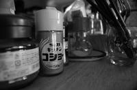 DSC02856.JPG
