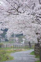 DSC03213.JPG