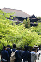 DSC03578.JPG