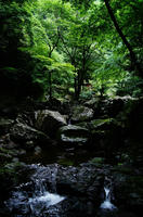 DSC05888.JPG