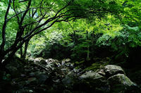 DSC05892.JPG