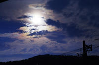 1022836e.JPG