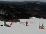 20120318_085816.jpg