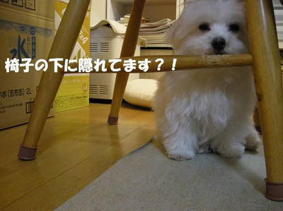 DSCN3445.JPG