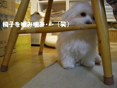 DSCN3446.JPG