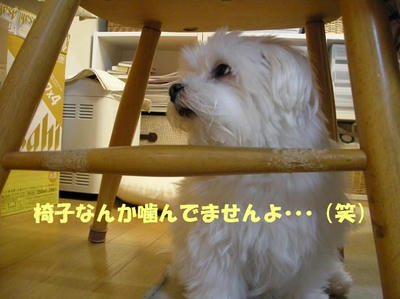 DSCN3448.JPG