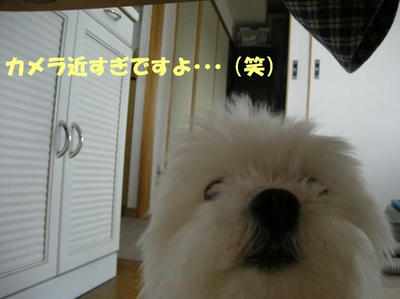 DSCN3481.JPG