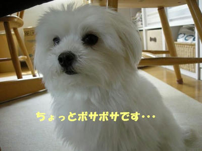 DSCN3488.JPG