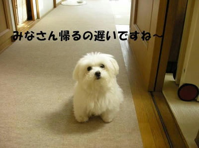 DSCN3843.JPG