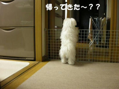 DSCN3859.JPG