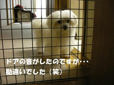 DSCN3865.JPG