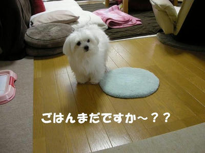 DSCN3927.JPG