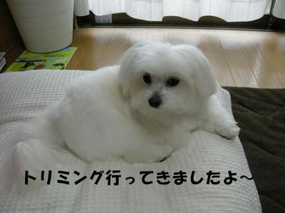 DSCN3981.JPG