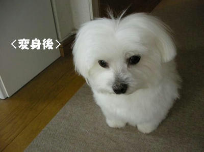 DSCN4031.JPG