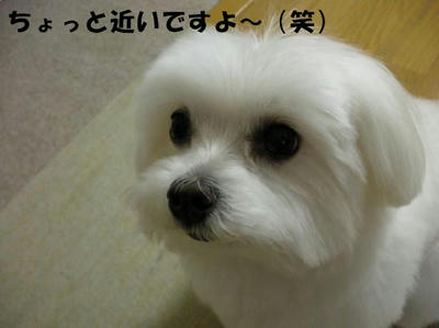 DSCN4055.JPG