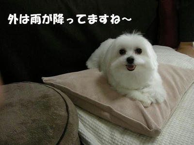 DSCN3991.JPG