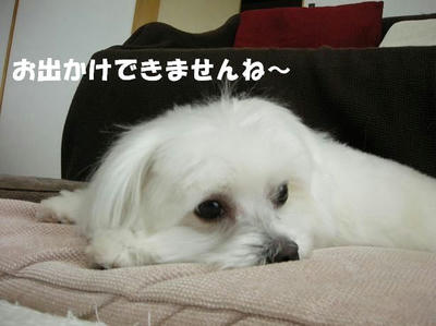 DSCN3994.JPG