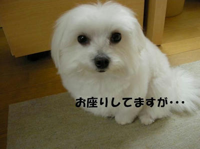 DSCN4009.JPG