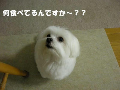 DSCN4041.JPG