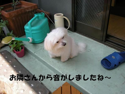 DSCN4177.JPG