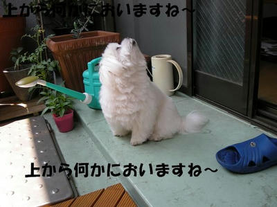 DSCN4178.JPG