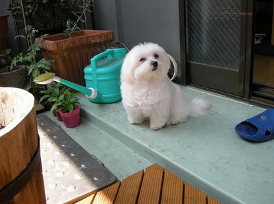 DSCN4180.JPG