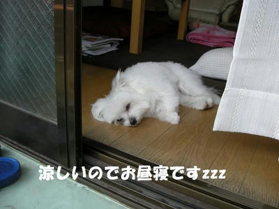DSCN4187.JPG
