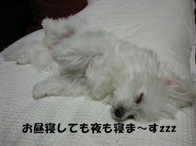DSCN4200.JPG