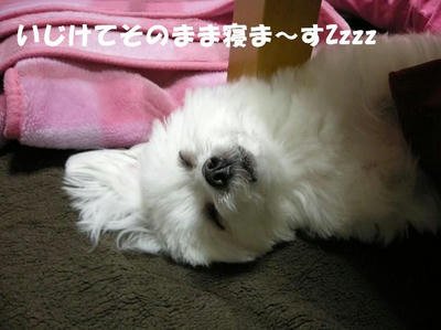 DSCN4073.JPG