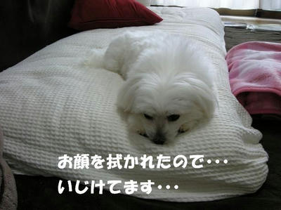 DSCN4097.JPG