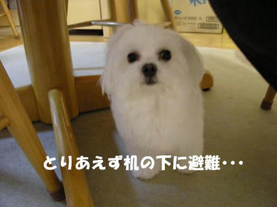 DSCN4108.JPG