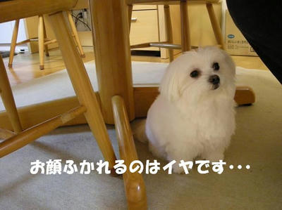DSCN4109.JPG